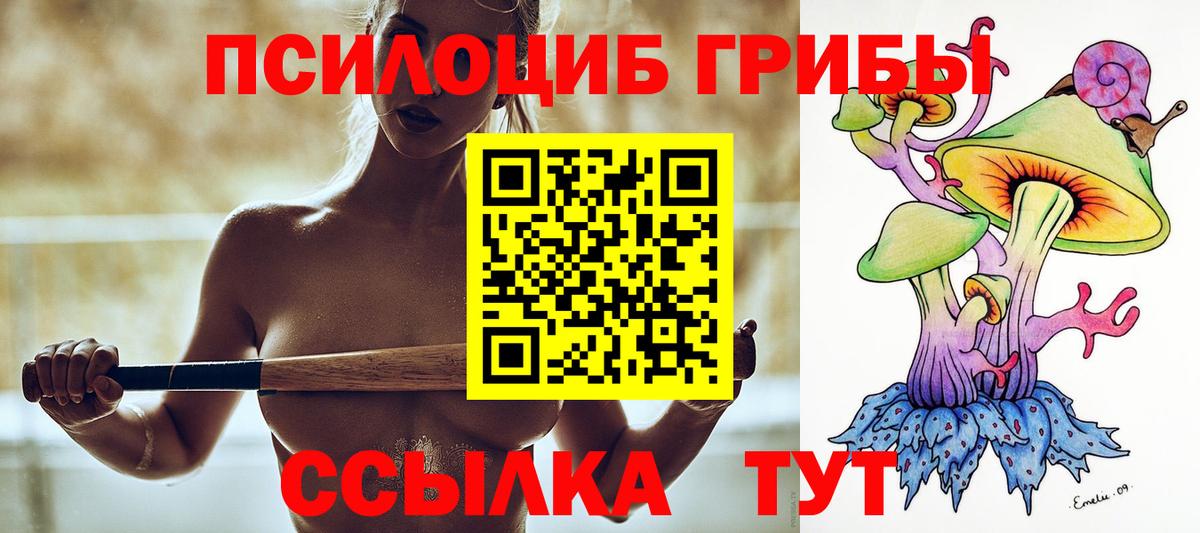 Галлюциногенные грибы GOLDEN TEACHER Шатура
