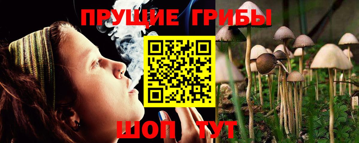 Галлюциногенные грибы Magic Shrooms  Галлюциногенные грибы ЛСД  Вход с VPN  Шатура 